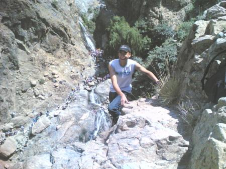 fouad